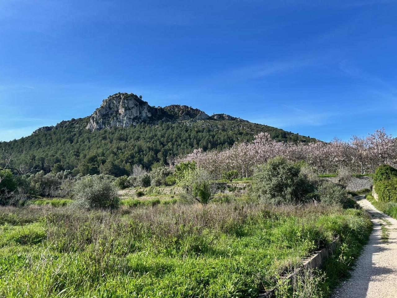 Casa Lima Villa Orba Bagian luar foto